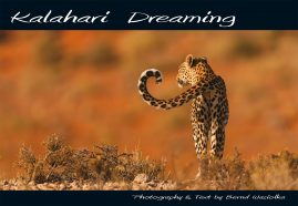 Kalahari Dreaming - Bildband